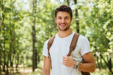 Closeup of cheerful young man standing and smiling in forest clipart