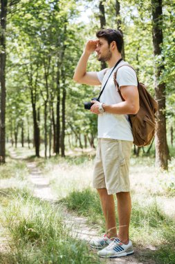 Kamera kullanarak ve uzakta ormanda arayan adam fotoğrafçı