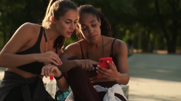 Привабливі Молоді Багатонаціональні Жінки Використовують Смартфон Сидить Парку Зовні — стокове відео