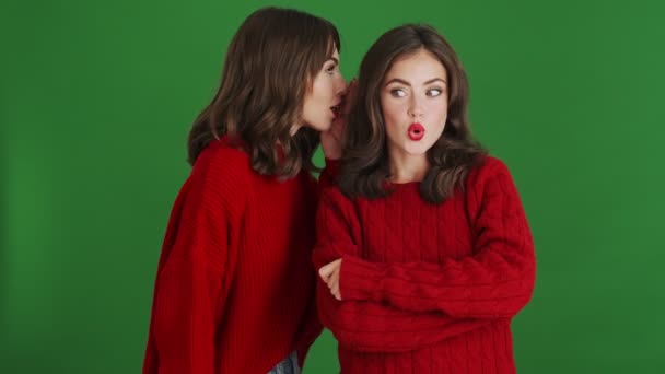 Две Красивые Девушки Красных Свитерах Делятся Секретами Скрывающимися Зеленом Фоне — стоковое видео