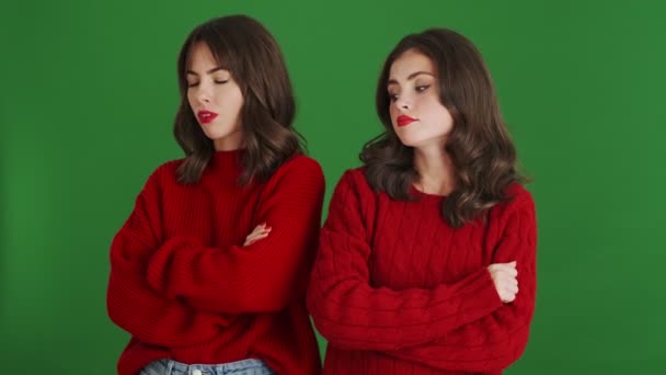 Két Csinos Piros Pulóvert Viselő Lány Álldogál Elszigetelten Egy Zöld — Stock videók
