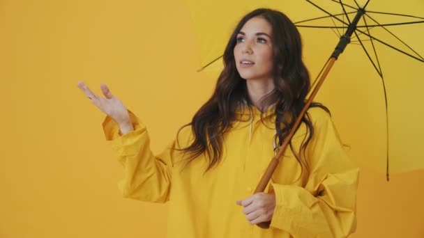 雨が黄色の背景に隔離されて立って停止している間かなり素敵な女性は彼女の傘を閉じている — ストック動画