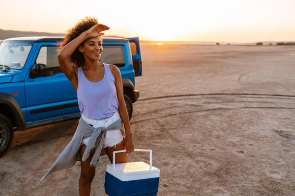 Afbeelding Van Glimlachende Afrikaans Amerikaanse Vrouw Staande Met Koeler Tas — Stockfoto