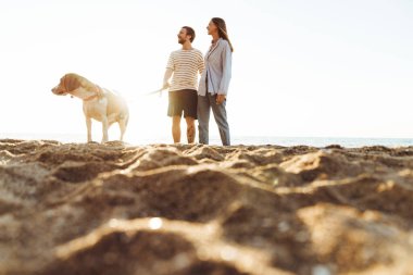 Sahilde köpekli genç bir aile imajı.