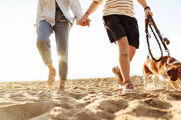 Zugeschnittenes Bild Eines Jungen Unglaublich Liebenden Paares Mit Hund Draußen — Stockfoto