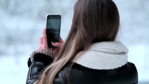 Back View Giovane Donna Sta Scattando Foto Con Suo Smartphone — Video Stock