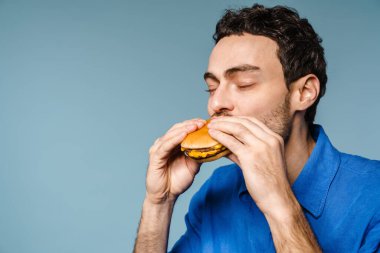 Mavi arka planda izole bir şekilde kamerada hamburger yiyen yakışıklı, tıraşsız adam.