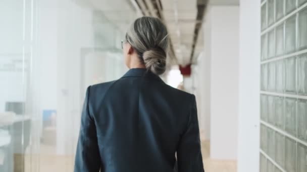 Back View Elder Businesswoman Walking Corridor Office Building — Vídeo de Stock
