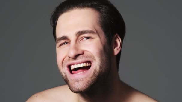 Pleased Man Showing His Teeth Standing Isolated Grey Wall Studio — Stock Video