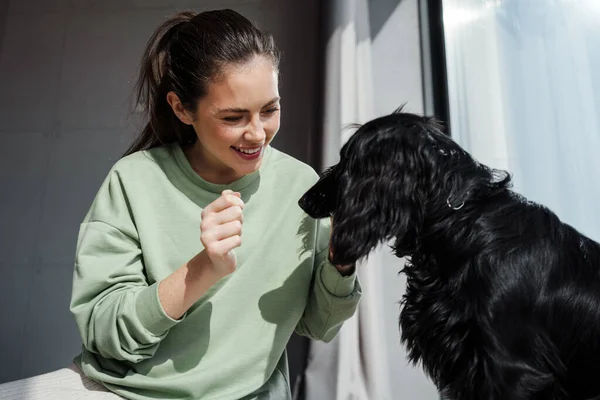 Gelukkig Jong Brunette Vrouw Met Haar Hond Thuis — Stockfoto