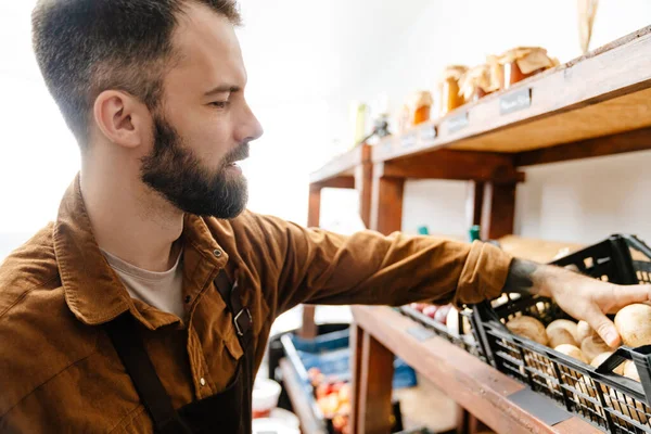 White Bearded Seller Man Holding Mushroom While Working Local Eco — Stock Photo, Image