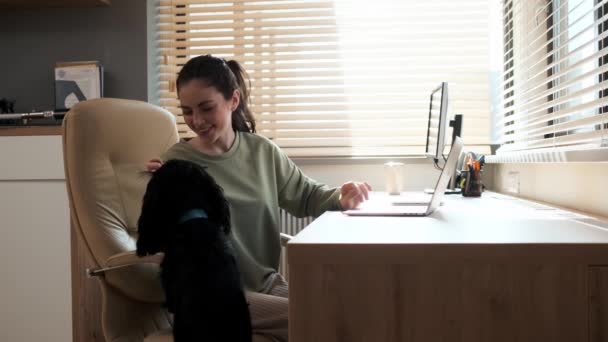 Vista Lateral Uma Mulher Sorridente Acariciando Cão Enquanto Sentado Poltrona — Vídeo de Stock