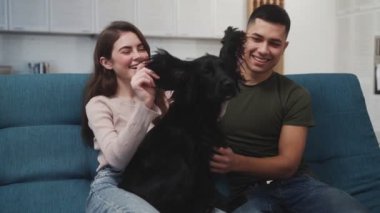 Gülümseyen çift odadaki mavi koltukta otururken köpeği okşuyor ve kulaklarını çekiştiriyor.
