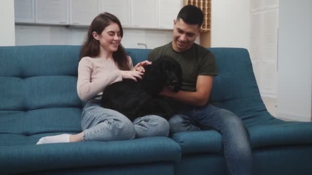 Ευτυχισμένο Ζευγάρι Χαϊδεύει Ένα Σκύλο Ενώ Κάθεται Ένα Μπλε Καναπέ — Αρχείο Βίντεο