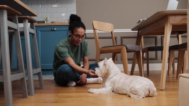 Smiling African American Woman Feeding Her Dog While Sitting Floor — Stock Video