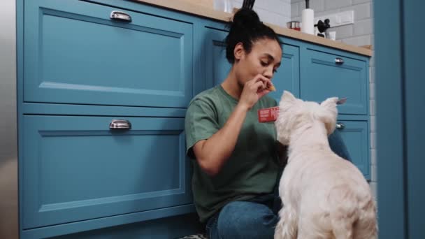 Una Mujer Afroamericana Guapa Está Alimentando Entrenando Perro Mientras Está — Vídeos de Stock