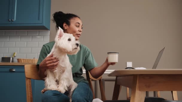 Una Felice Donna Afroamericana Accarezza Cane Mentre Guarda Suo Portatile — Video Stock