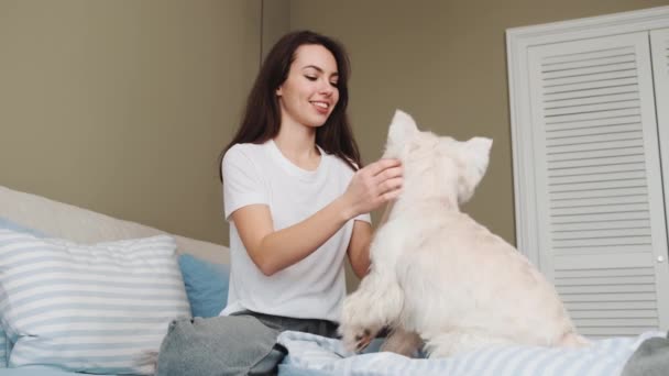 Una Bella Ragazza Sta Giocando Con Suo Cane Mentre Nutre — Video Stock