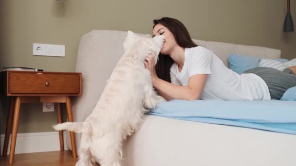 Uma Menina Feliz Está Acariciando Cão Enquanto Está Sentado Cama — Vídeo de Stock