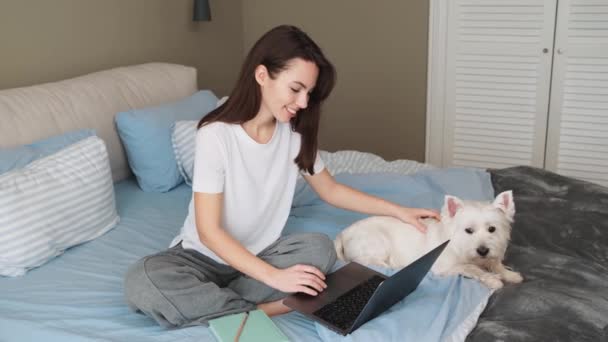Smiling Woman Petting Her Dog While Working Her Laptop Sitting — ストック動画