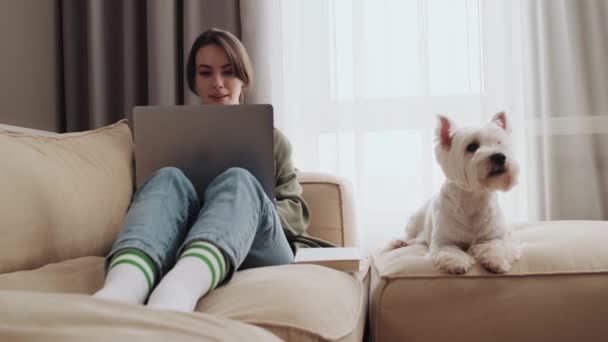 Cheerful Girl Using Her Laptop Sitting Home Her Dog — ストック動画