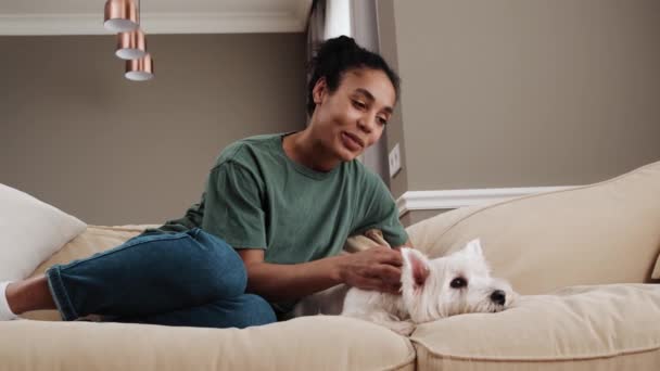 Smiling African American Woman Petting Dog While Sitting Sofa Home — ストック動画