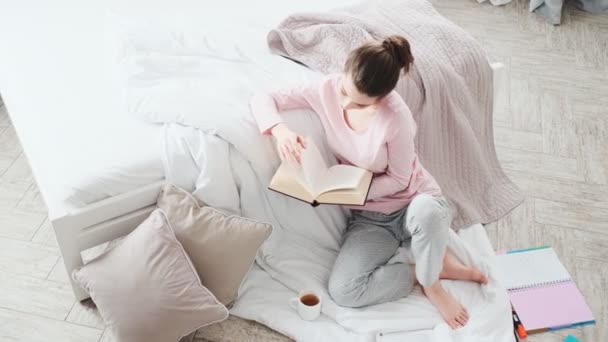 Vue Aérienne Une Fille Concentrée Lisant Livre Assise Sur Canapé — Video