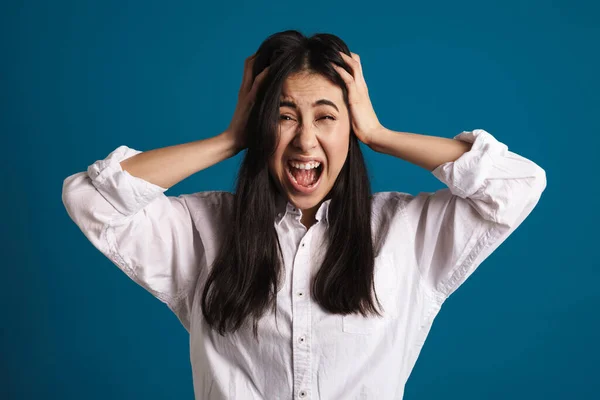 Infeliz Hermosa Asiática Chica Agarrando Cabeza Gritando Aislado Sobre Azul —  Fotos de Stock