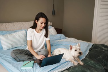 Mutlu genç esmer kadın yatak odasında, köpeğiyle ve dizüstü bilgisayarıyla yatakta oturuyor.