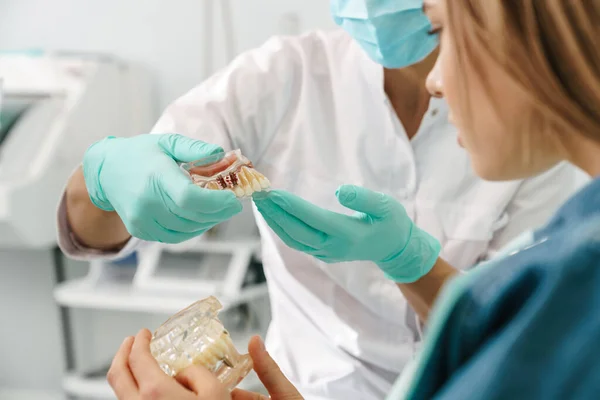 Европейская Женщина Средний Дантист Показывает Имитацию Зубов Своему Пациенту Стоматологической — стоковое фото