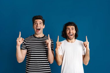 Beyaz, iki adamı heyecanlandırdı. Çığlık atıyor ve işaret ediyor. Mavi arka planda tek başına.