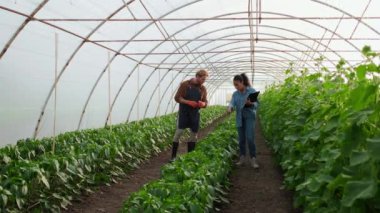 A expert afro-american woman while holding a clipboard is talking to farmer man caring for plants at the greenhouse