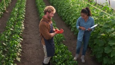 A top view of an expert afro-american woman is talking to farmer man at the greenhouse