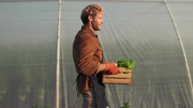 A side view of a happy farmer is carrying harvest vegetables walking from the greenhouse