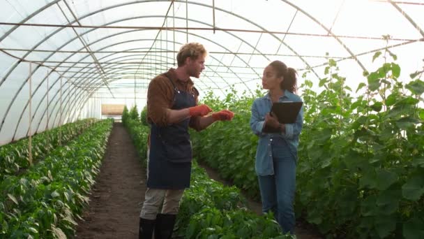 미국의 온실에서 식물을 기르는 농부와 이야기하고 있습니다 — 비디오