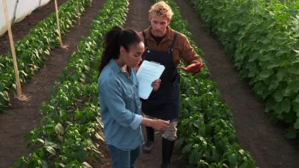 一位非洲裔美国妇女专家正在温室里与农民交谈时 正在检查植物的生长情况 — 图库视频影像