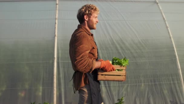 Side View Happy Farmer Carrying Harvest Vegetables Walking Greenhouse — Vídeos de Stock