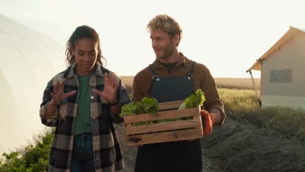 Eine Glückliche Bäuerin Trägt Gemüse Bei Der Ernte Und Zeigt — Stockvideo
