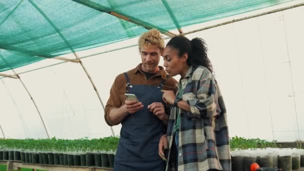 Farmers Man Showing Photos Afro American Woman Using Mobile While — Vídeo de stock