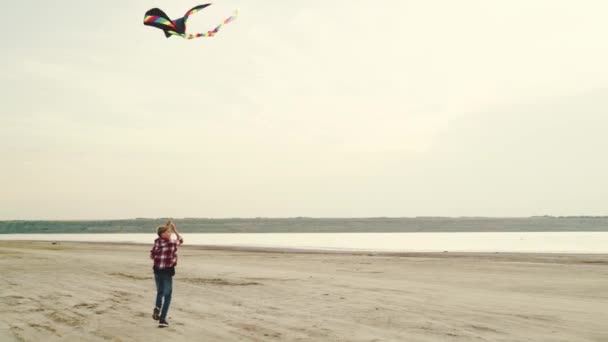 一个小男孩在玩一个关于大自然的风筝 — 图库视频影像
