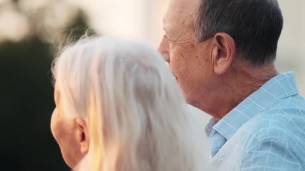 屋外でデートしながら一緒に公園を歩いている高齢者のカップルの男性と女性のバックビュー — ストック動画