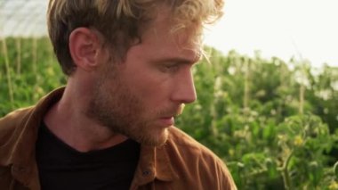 Yakışıklı genç bir çiftçi dışarıdaki serada yürürken domates fidelerini kontrol ediyor.