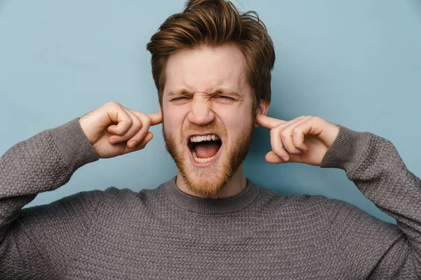 Skjeggete Ingefærmann Skriker Mens Han Plugger Ørene Isolert Blå Bakgrunn – stockfoto