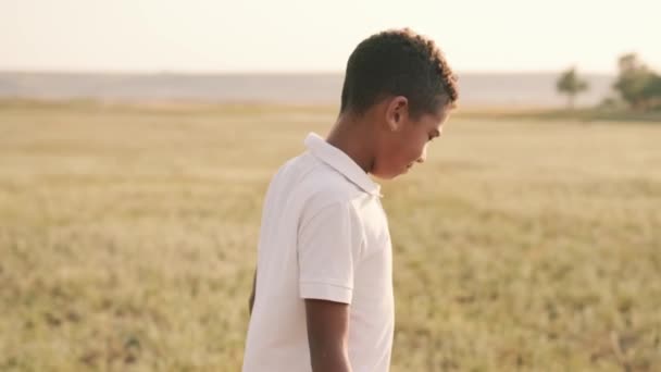 Šťastný Americký Chlapec Kráčí Louce — Stock video
