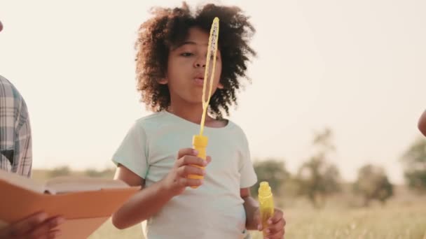 Una Pequeña Afro Americana Está Soplando Burbujas Durante Picnic Afuera — Vídeo de stock