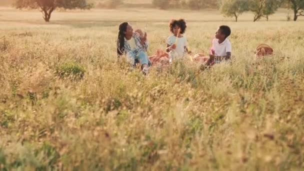 Una Familia Afro Americana Positiva Está Teniendo Picnic Afuera Naturaleza — Vídeo de stock