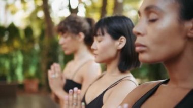 Bir grup çekici kadın yazın dışarıda yoga eğitimi veriyor.