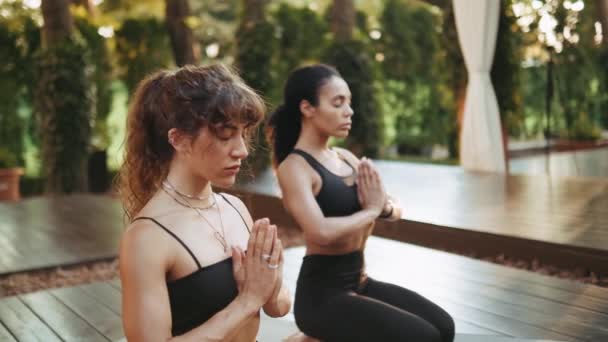Women Doing Yoga Exercises Sitting Yoga Mat Park — Stock Video