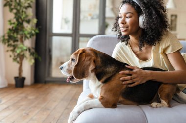 Kulaklıklı mutlu Afrikalı bir kadın evdeki evcil köpeğiyle kanepede dinleniyor ve sarılıyor.