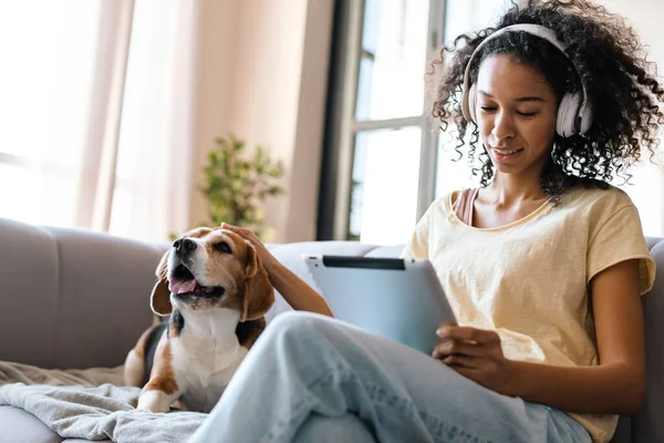 Ung Afrikansk Kvinna Casual Wear Med Beagle Valp Hemma Sitter — Stockfoto